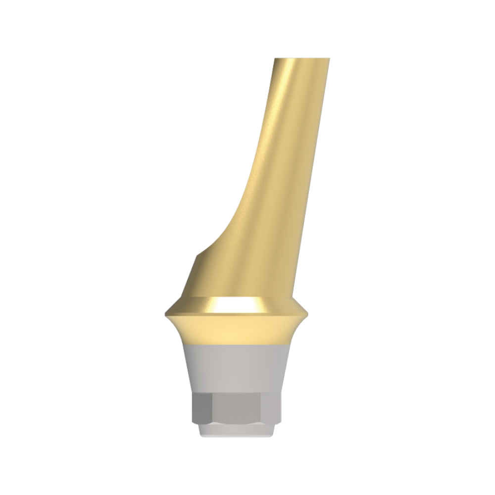 Angulated Abutment